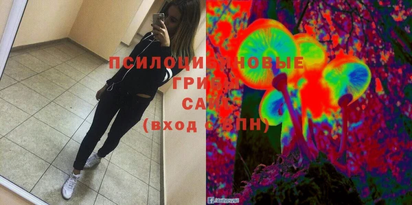 ECSTASY Богородицк